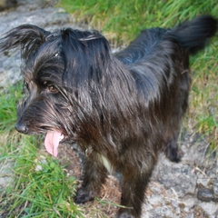 Urlaub im Allgäu (7)